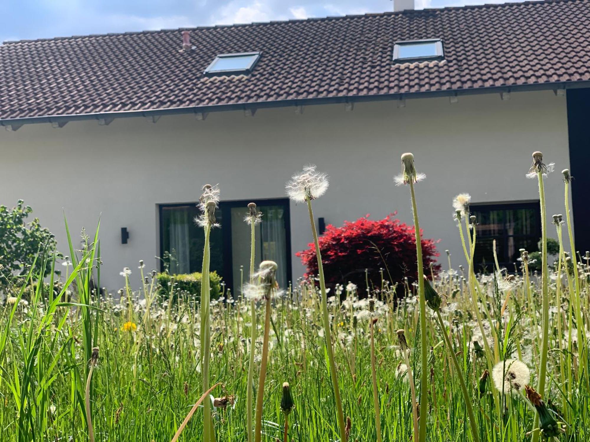 Appartement Kammblick グレーブミング エクステリア 写真